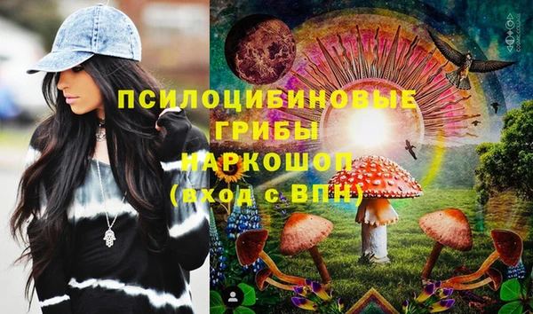 2c-b Алексин