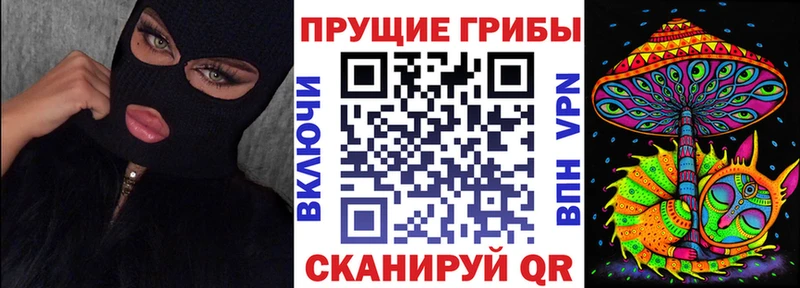 дарнет шоп  Ейск  Галлюциногенные грибы мухоморы 