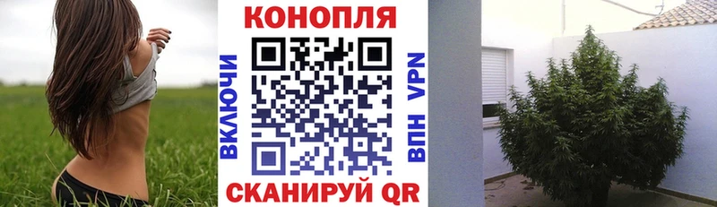 Каннабис Ganja  OMG ONION  Ейск 